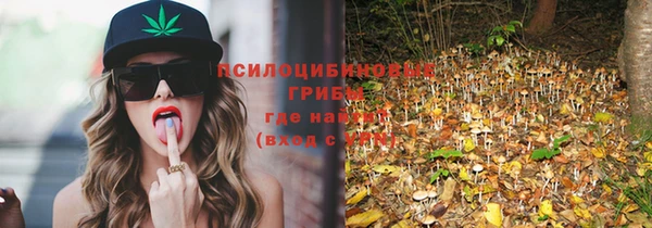 стафф Горняк