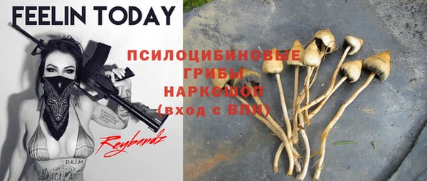 герыч Горнозаводск